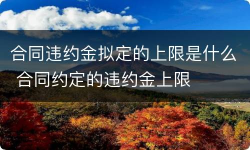合同违约金拟定的上限是什么 合同约定的违约金上限
