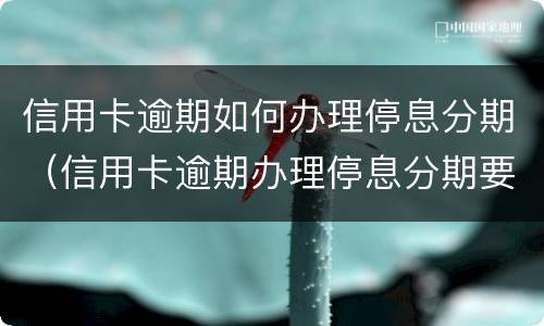 信用卡逾期如何办理停息分期（信用卡逾期办理停息分期要什么材料）