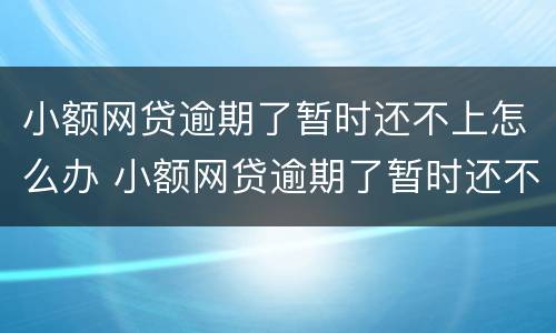 小额网贷逾期了暂时还不上怎么办 小额网贷逾期了暂时还不上怎么办呢