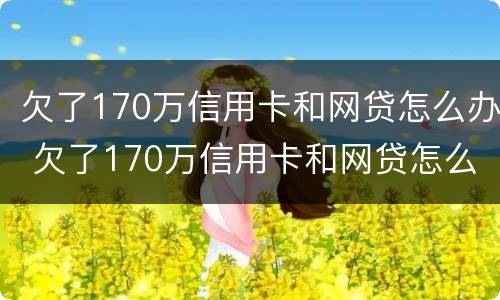 欠了170万信用卡和网贷怎么办 欠了170万信用卡和网贷怎么办呢