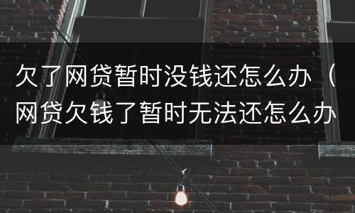 欠了网贷暂时没钱还怎么办（网贷欠钱了暂时无法还怎么办）