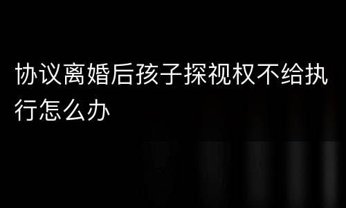协议离婚后孩子探视权不给执行怎么办