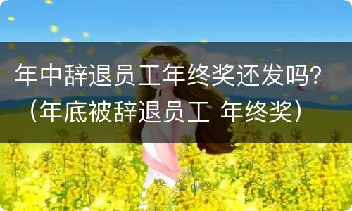 年中辞退员工年终奖还发吗？（年底被辞退员工 年终奖）
