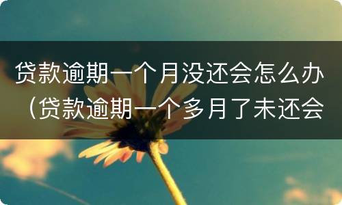 贷款逾期一个月没还会怎么办（贷款逾期一个多月了未还会怎样）