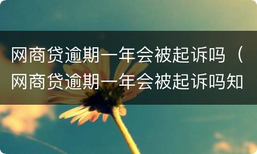 网商贷逾期一年会被起诉吗（网商贷逾期一年会被起诉吗知乎）