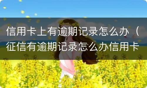信用卡上有逾期记录怎么办（征信有逾期记录怎么办信用卡）
