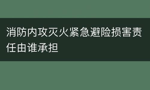 消防内攻灭火紧急避险损害责任由谁承担