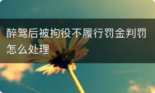 醉驾后被拘役不履行罚金判罚怎么处理