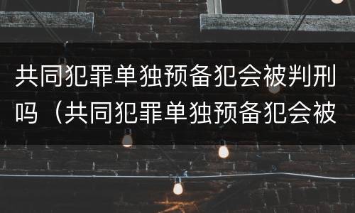 共同犯罪单独预备犯会被判刑吗（共同犯罪单独预备犯会被判刑吗知乎）