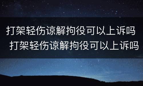 打架轻伤谅解拘役可以上诉吗 打架轻伤谅解拘役可以上诉吗知乎