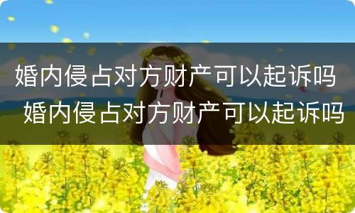 婚内侵占对方财产可以起诉吗 婚内侵占对方财产可以起诉吗