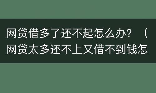 网贷借多了还不起怎么办？（网贷太多还不上又借不到钱怎么办）