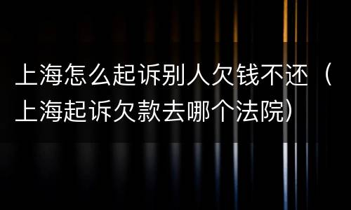 上海怎么起诉别人欠钱不还（上海起诉欠款去哪个法院）