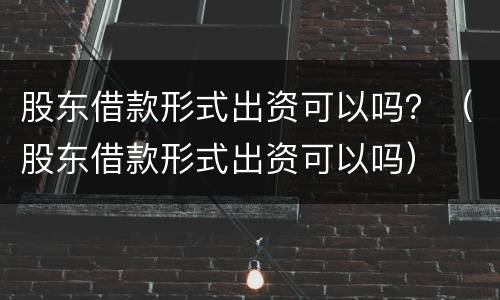 股东借款形式出资可以吗？（股东借款形式出资可以吗）