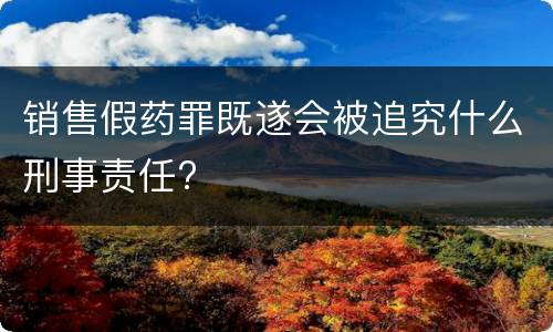 销售假药罪既遂会被追究什么刑事责任?