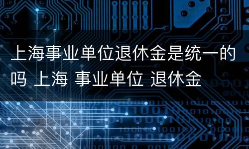 上海事业单位退休金是统一的吗 上海 事业单位 退休金