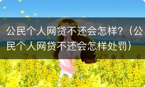 公民个人网贷不还会怎样?（公民个人网贷不还会怎样处罚）
