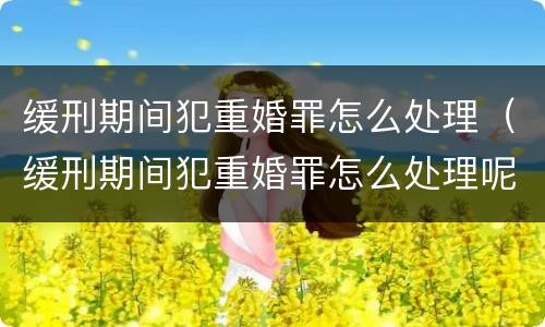 缓刑期间犯重婚罪怎么处理（缓刑期间犯重婚罪怎么处理呢）