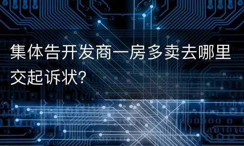 集体告开发商一房多卖去哪里交起诉状？