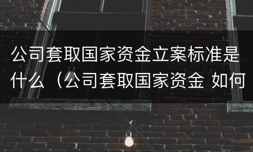 公司套取国家资金立案标准是什么（公司套取国家资金 如何定罪）