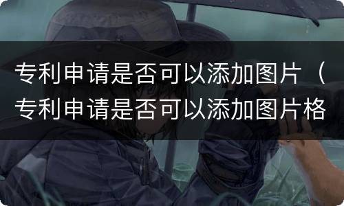 专利申请是否可以添加图片（专利申请是否可以添加图片格式）