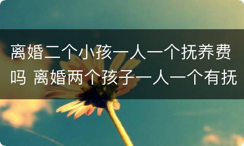 离婚二个小孩一人一个抚养费吗 离婚两个孩子一人一个有抚养费吗