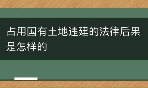 占用国有土地违建的法律后果是怎样的