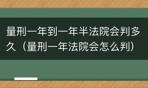 量刑一年到一年半法院会判多久（量刑一年法院会怎么判）