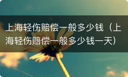 上海轻伤赔偿一般多少钱（上海轻伤赔偿一般多少钱一天）