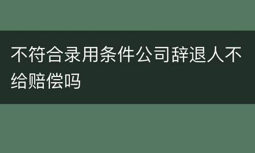 不符合录用条件公司辞退人不给赔偿吗