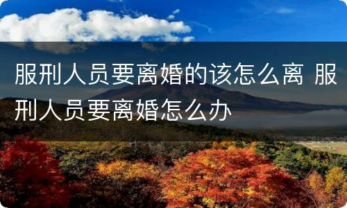 服刑人员要离婚的该怎么离 服刑人员要离婚怎么办