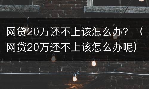 网贷20万还不上该怎么办？（网贷20万还不上该怎么办呢）