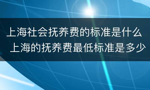 上海社会抚养费的标准是什么 上海的抚养费最低标准是多少