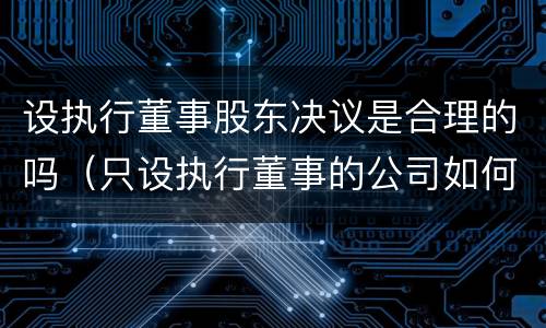设执行董事股东决议是合理的吗（只设执行董事的公司如何决议）