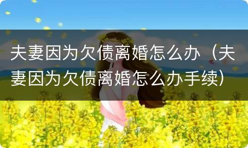 夫妻因为欠债离婚怎么办（夫妻因为欠债离婚怎么办手续）