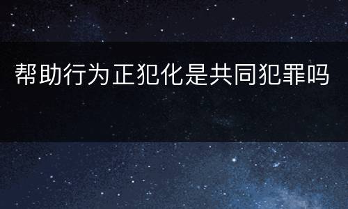 帮助行为正犯化是共同犯罪吗