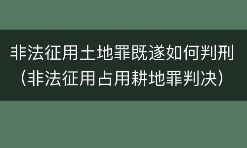 非法征用土地罪既遂如何判刑（非法征用占用耕地罪判决）