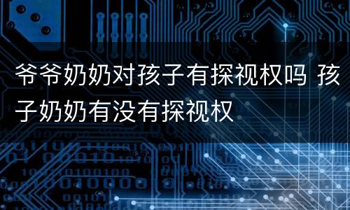 爷爷奶奶对孩子有探视权吗 孩子奶奶有没有探视权