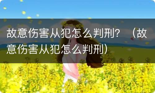 故意伤害从犯怎么判刑？（故意伤害从犯怎么判刑）