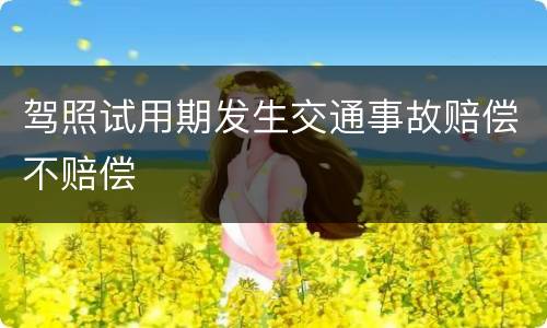 驾照试用期发生交通事故赔偿不赔偿