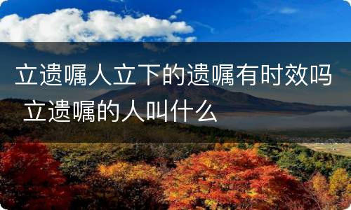 立遗嘱人立下的遗嘱有时效吗 立遗嘱的人叫什么