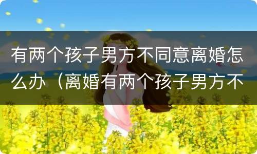 有两个孩子男方不同意离婚怎么办（离婚有两个孩子男方不给怎么办）