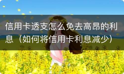 信用卡透支怎么免去高昂的利息（如何将信用卡利息减少）