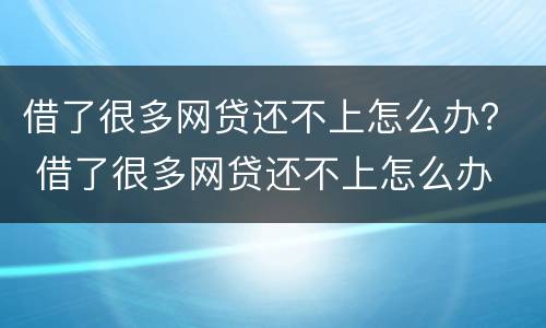 借了很多网贷还不上怎么办？ 借了很多网贷还不上怎么办