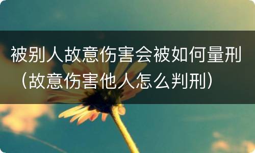 被别人故意伤害会被如何量刑（故意伤害他人怎么判刑）