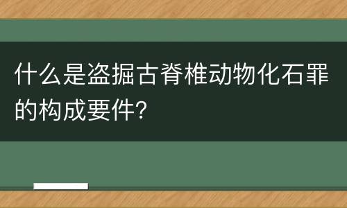 什么是盗掘古脊椎动物化石罪的构成要件？