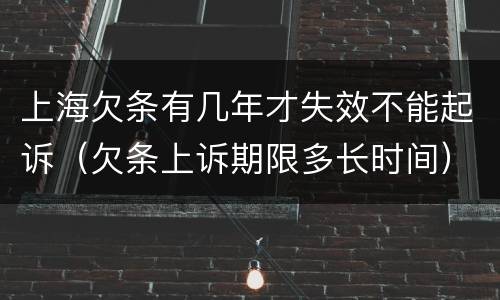 上海欠条有几年才失效不能起诉（欠条上诉期限多长时间）