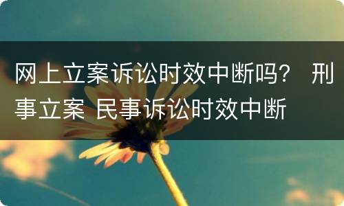 网上立案诉讼时效中断吗？ 刑事立案 民事诉讼时效中断