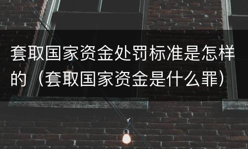 套取国家资金处罚标准是怎样的（套取国家资金是什么罪）