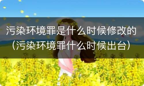 污染环境罪是什么时候修改的（污染环境罪什么时候出台）